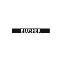 Cosmetics Blusher Sticker by PAC