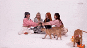 Puppy Puppies GIF by BuzzFeed