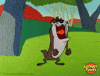 Angry Tazmanian Devil GIF by Looney Tunes
