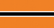 ice hockey GIF by Lehigh Valley Phantoms