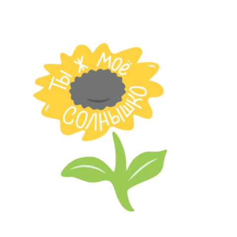PandaDigital giphyupload plants sunflower seeds Sticker