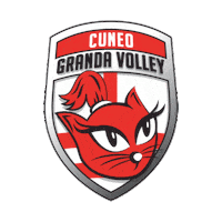Fan Volleyball Sticker by cuneo_granda_volley