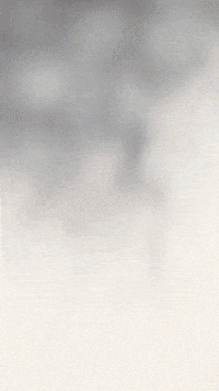 Halloween Horror GIF by Youtooz