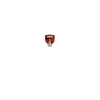 soccer futbol Sticker