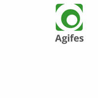 agifes flyagifes ifesinovacao agifesinovacao divertidoagifes GIF