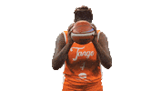 Basketball Diversion Sticker by Tango Bourges Basket