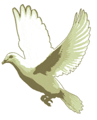 collagecolective dancing bird reading butterfly Sticker