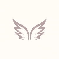 GIF by Celaine Concepts
