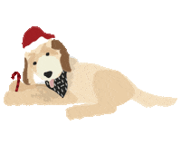 Dog Christmas Sticker by Akash Winery