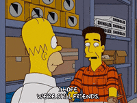 homer simpson GIF