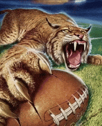 Ball Tiger GIF