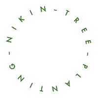 tree grow Sticker by NIKIN