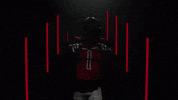 GIF by XFL