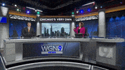 Wgn Tv Robin Baumgarten GIF by WGN Morning News