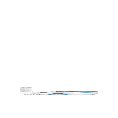 DarlieIndonesia giphyupload love morning fresh Sticker