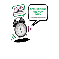 niyouthassembly northern ireland apply applications youth assembly Sticker