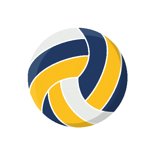 westerwald_volleys giphyupload www ball Sticker
