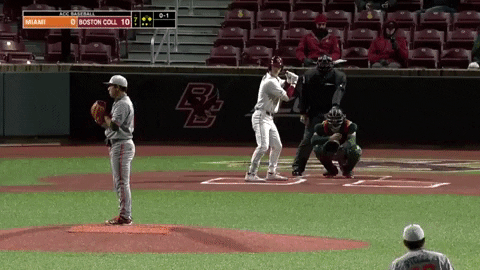 typicalbaseballfan giphyupload GIF