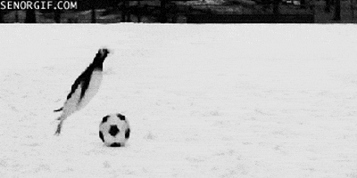 penguin soccer ball GIF by Cheezburger