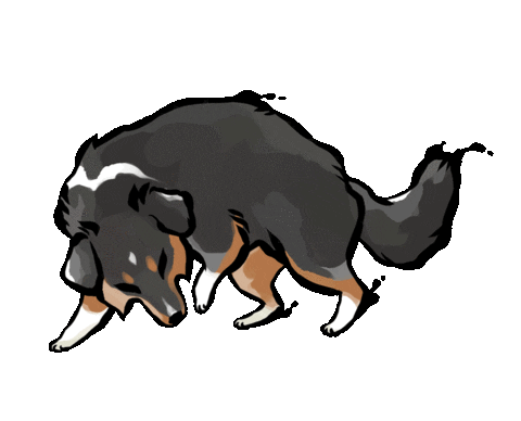 Cat Dog Sticker