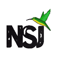 Humming Bird Island Sticker by Nova Sound