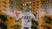 Baseball Bison GIF by NDSU Athletics