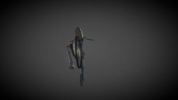 3d bike GIF by sketchfab