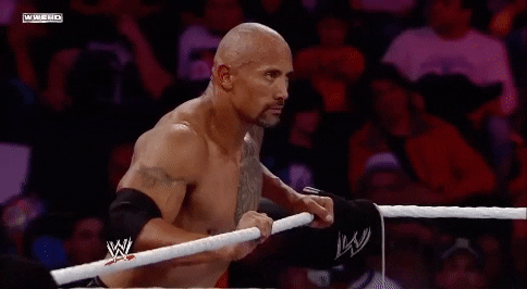 the rock GIF by WWE