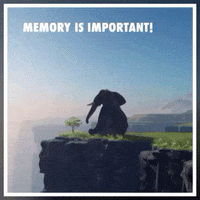 app quote GIF by The Videobook
