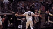 Happy College Basketball GIF by Purdue Sports