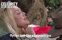 Imacelebau GIF by I'm A Celebrity... Get Me Out Of Here! Australia