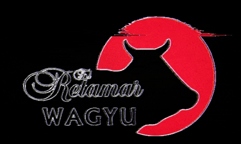 WagyuRetamar giphygifmaker carne wagyu wagyuretamar GIF