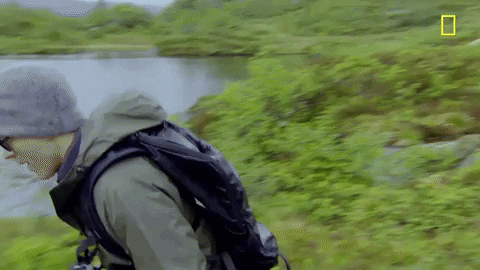 Bear Grylls GIF by National Geographic Channel