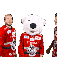 Sport Win Sticker by Eisbären Regensburg