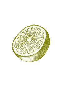 Lime Sticker by Sibbitter