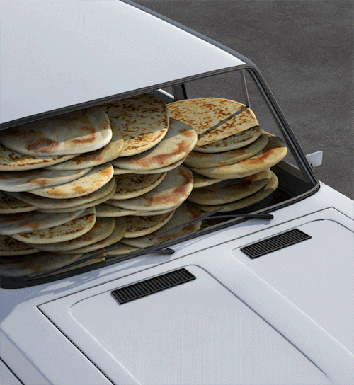 sashakatz sasha katz GIF