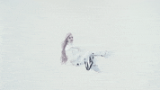 sugar GIF by BabyGoth