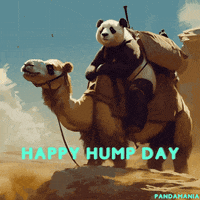 Happy Fun GIF by PandaMania