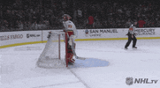 Happy Ice Hockey GIF by NHL