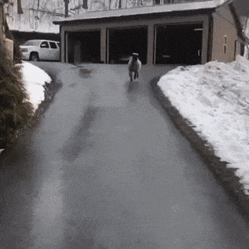 erosentient giphyupload GIF