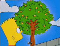 season 6 episode 25 GIF