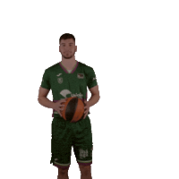 Liga Endesa Spinning Sticker by ACB