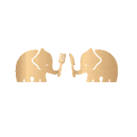 Fil Kutlama Sticker by JumboTurkiye