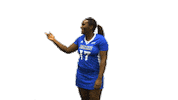 College Sports Fun Sticker by Delaware Blue Hens