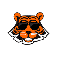 Glasses Tigrito Sticker by Qin Oriental Food