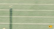 Go Blue Michigan Football GIF by Michigan Athletics