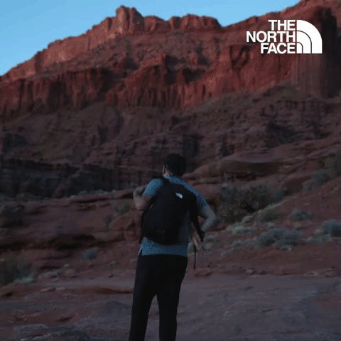 Have You Ever - The North Face