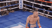 toprank boxing fighting champion espn GIF