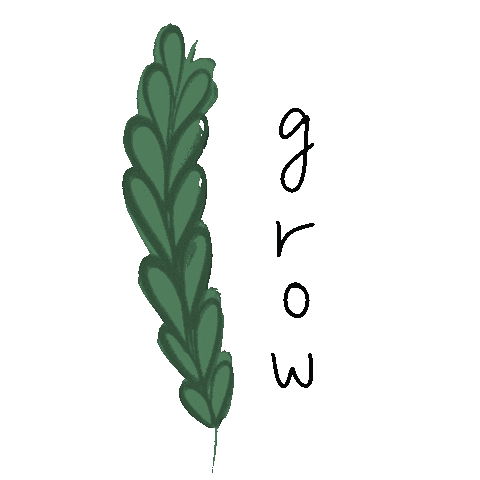 Wechoosechaos giphyupload flower grow growth Sticker