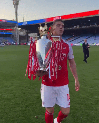 Arsenal Gunners GIF